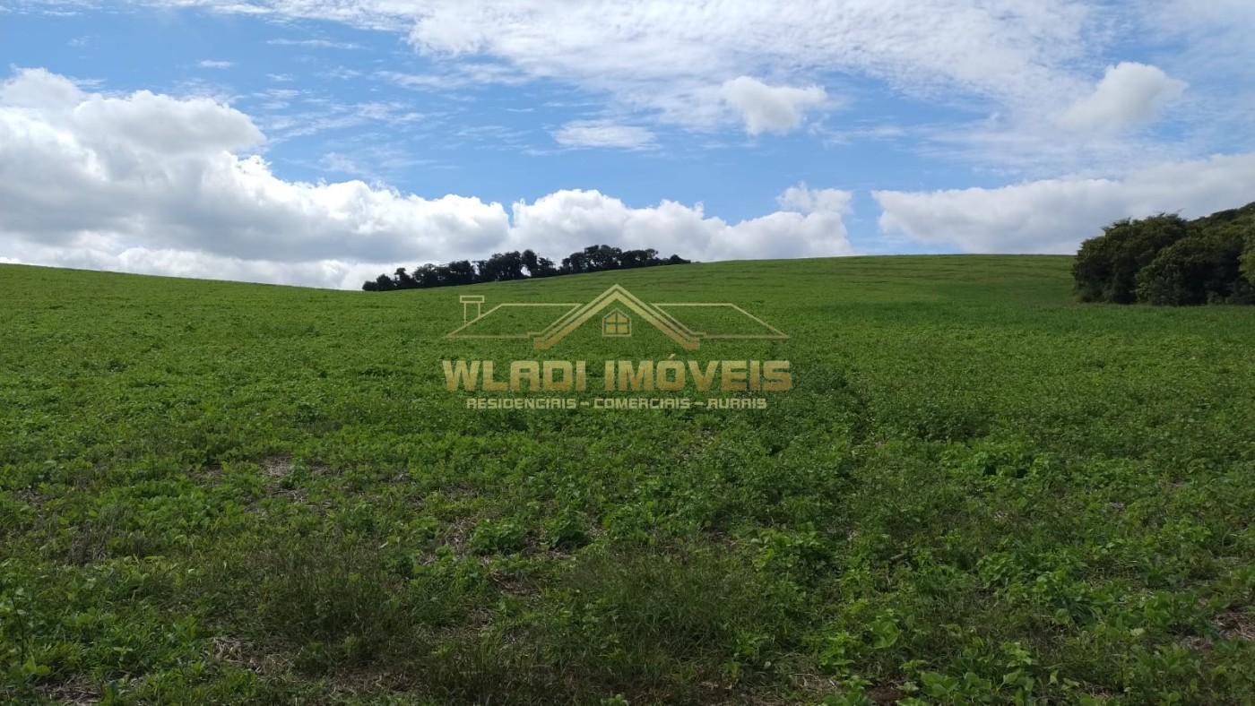 Fazenda, 160 m² - Foto 12