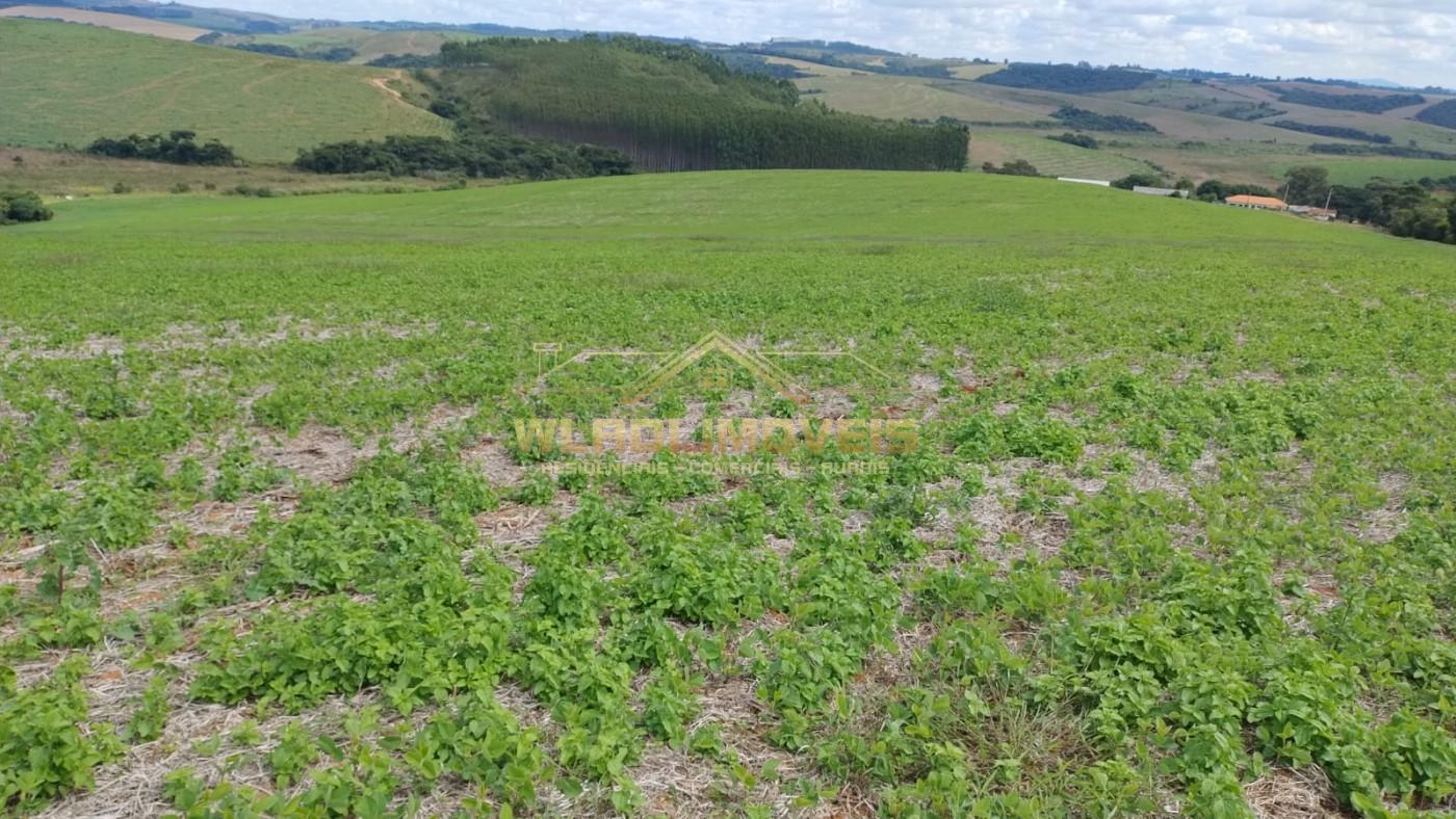 Fazenda, 160 m² - Foto 13