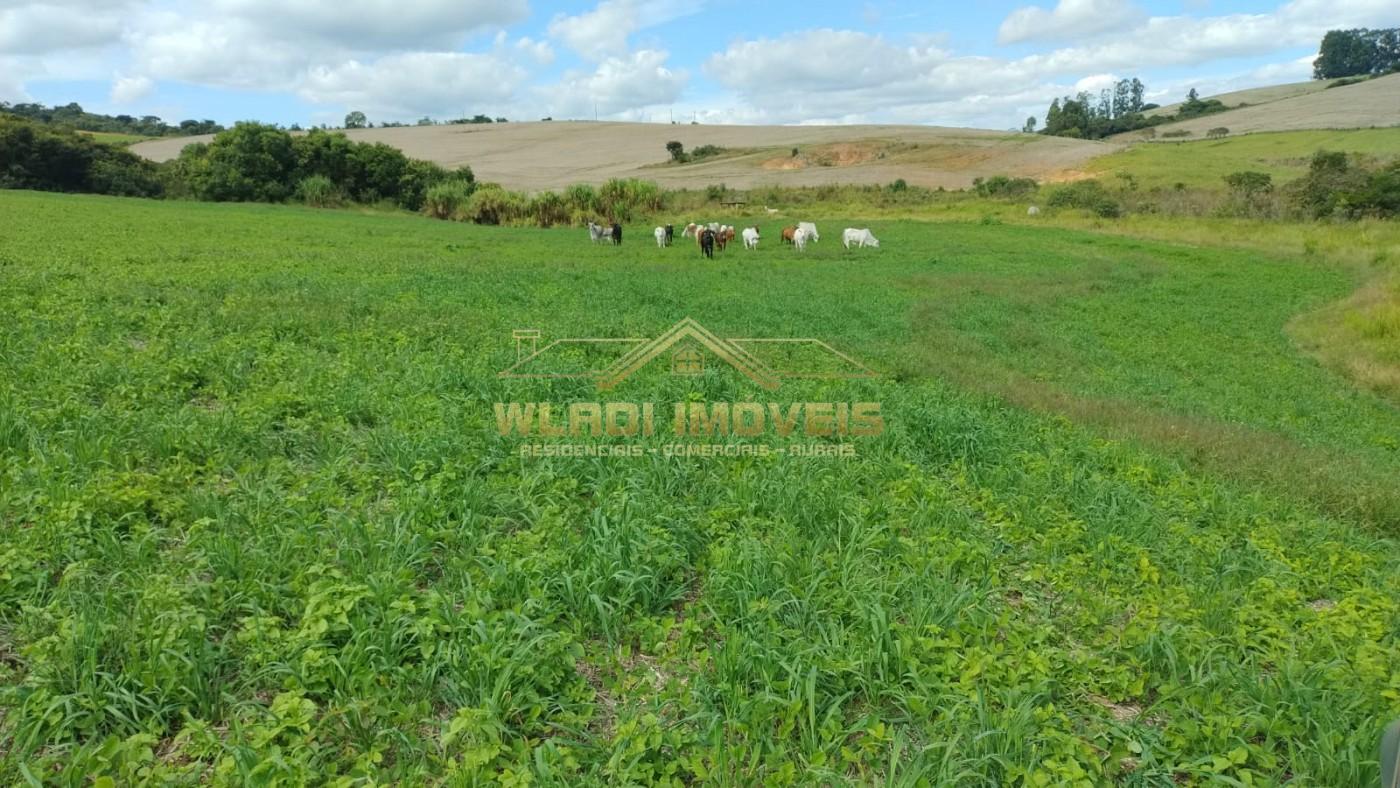 Fazenda, 160 m² - Foto 5