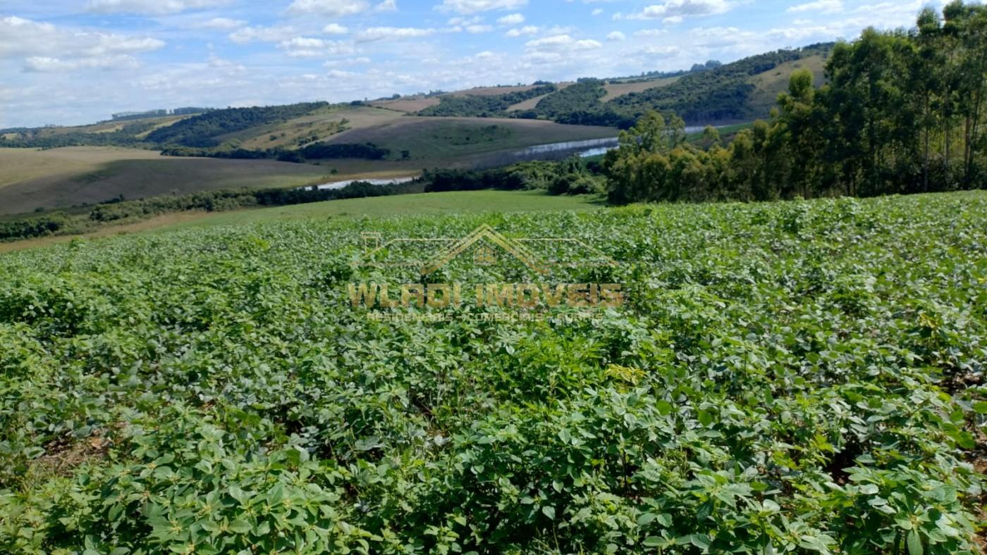 Fazenda, 160 m² - Foto 19