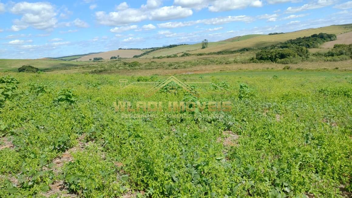 Fazenda, 160 m² - Foto 4