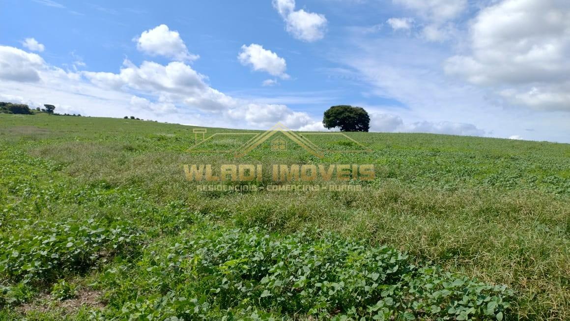 Fazenda, 160 m² - Foto 27