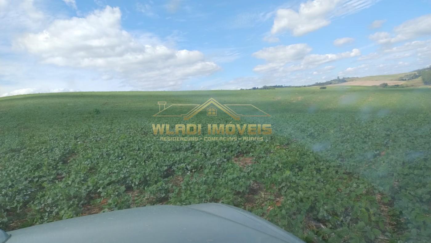 Fazenda, 160 m² - Foto 31