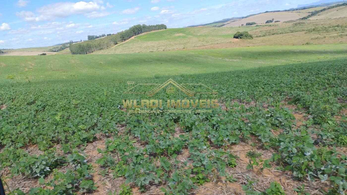 Fazenda, 160 m² - Foto 23