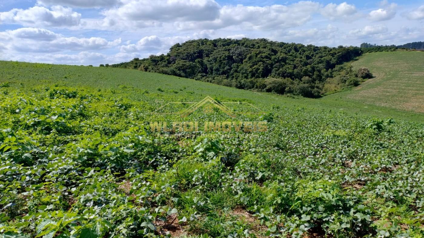 Fazenda, 160 m² - Foto 37