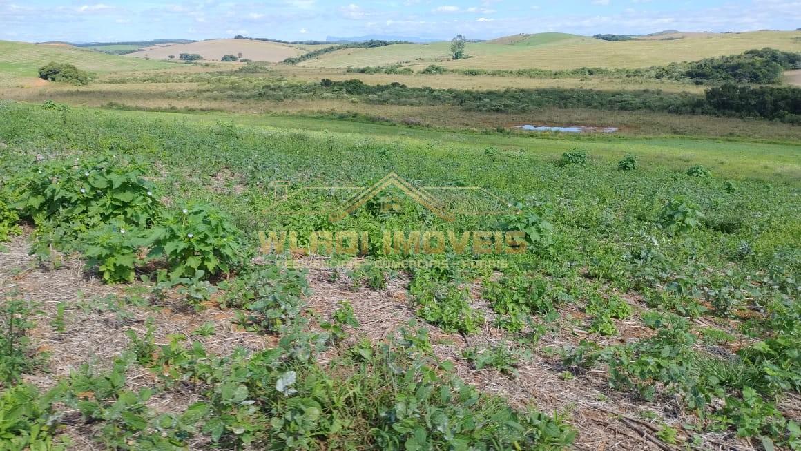 Fazenda, 160 m² - Foto 40