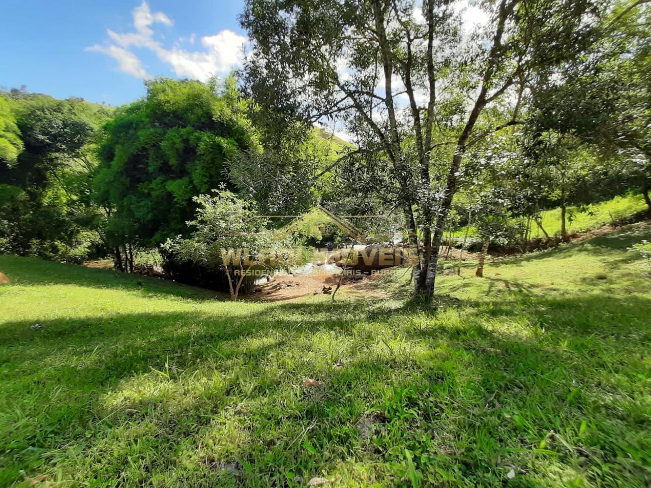 Terreno, 2 hectares - Foto 9