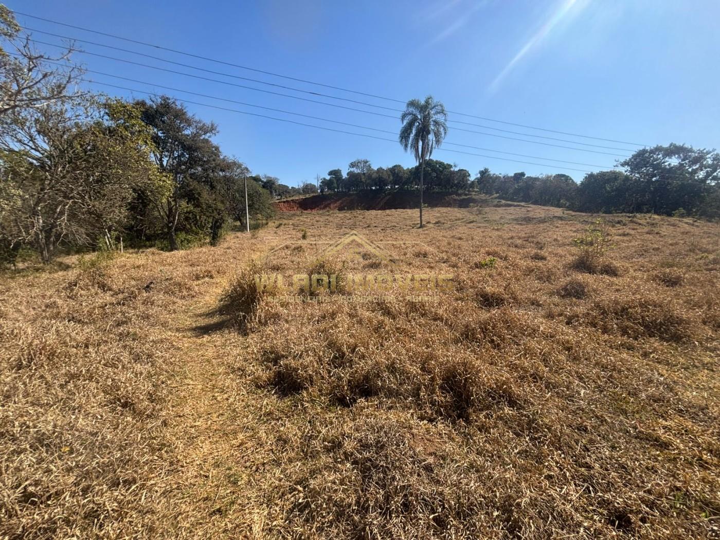 Loteamento e Condomínio, 2 hectares - Foto 7