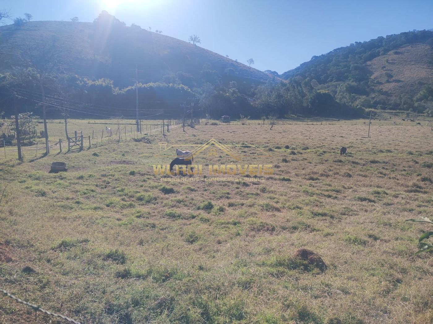 Sítio, 4 m² - Foto 24