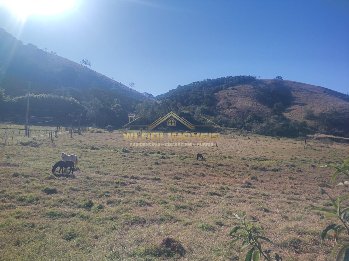 Sítio, 4 m² - Foto 25