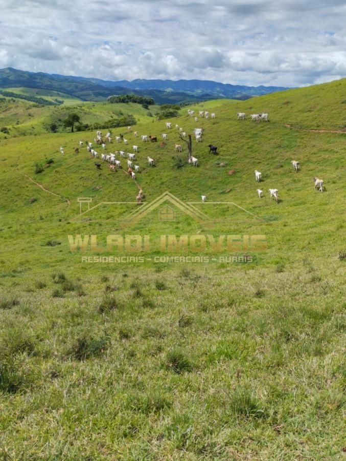 Fazenda, 100 m² - Foto 13