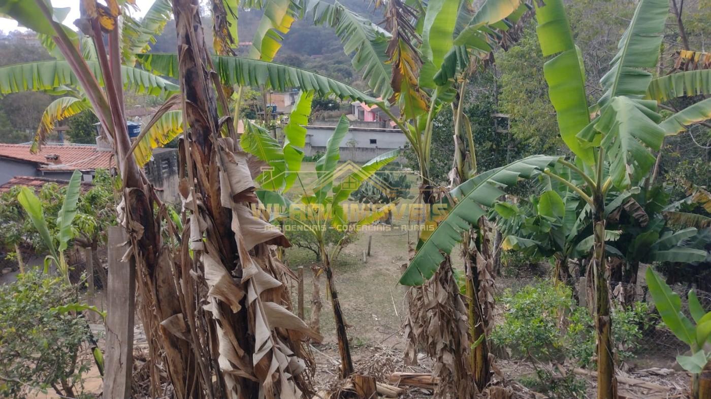 Chácara, 3 quartos, 9000 m² - Foto 35