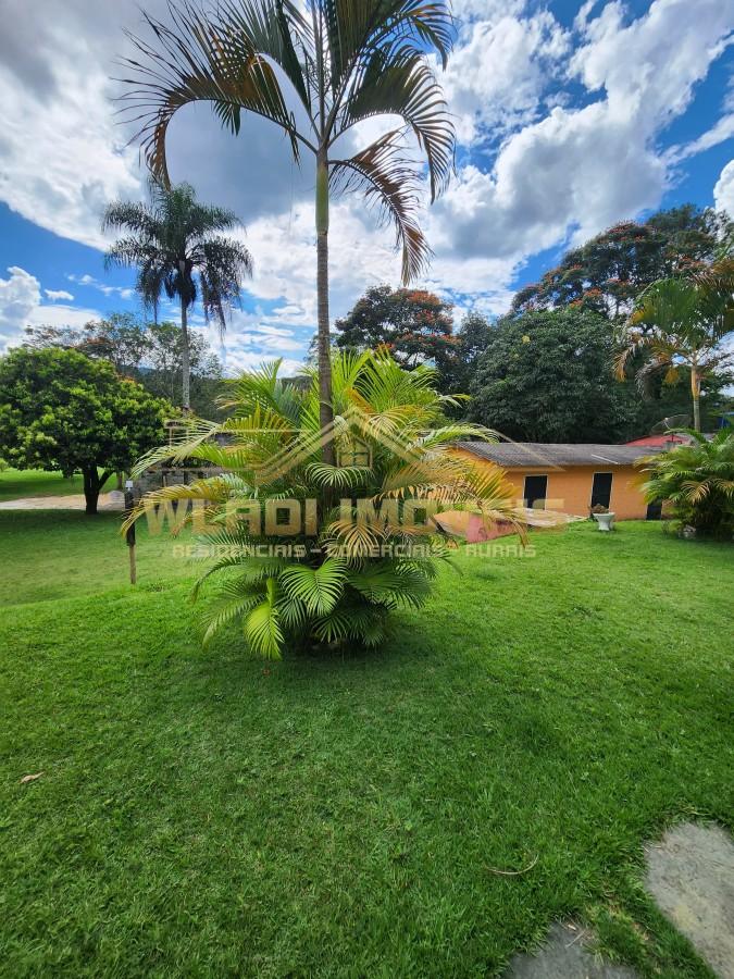 Sítio, 2 hectares - Foto 4