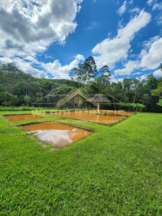 Sítio, 2 hectares - Foto 3