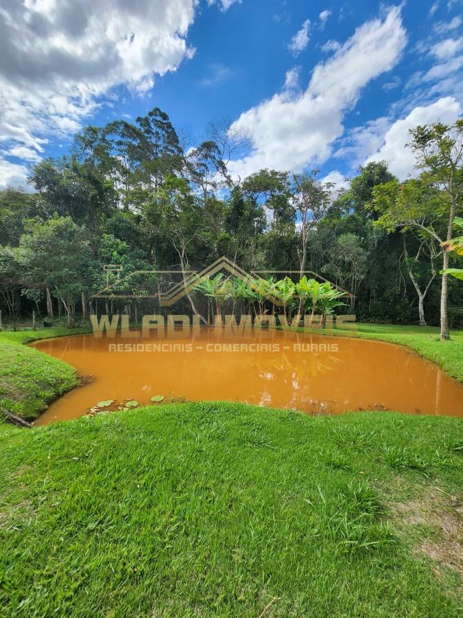 Sítio, 2 hectares - Foto 11