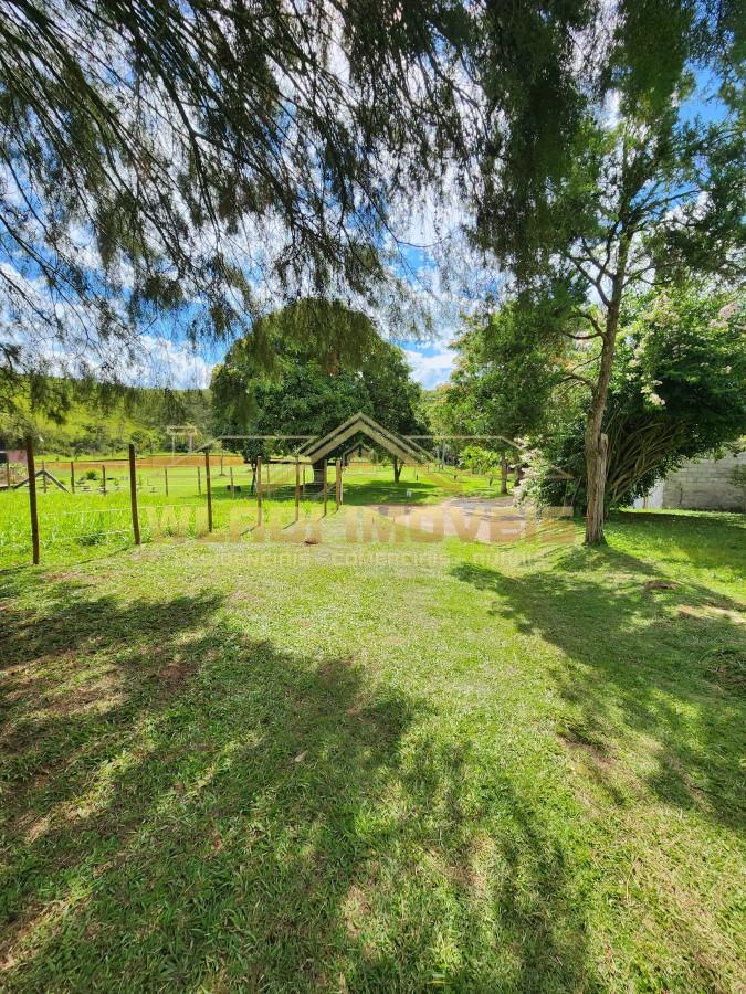 Sítio, 2 hectares - Foto 28