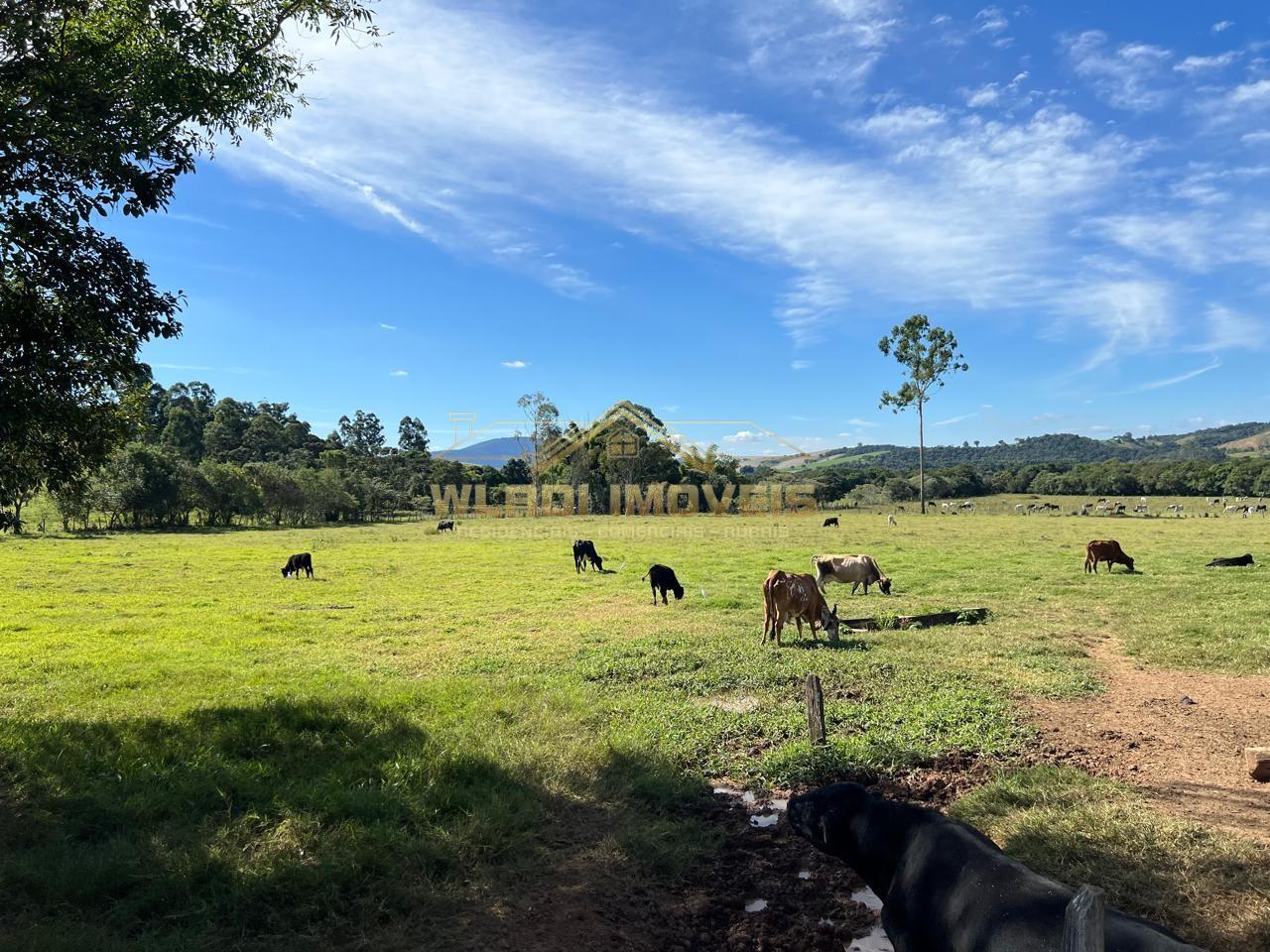 Fazenda, 169 m² - Foto 1