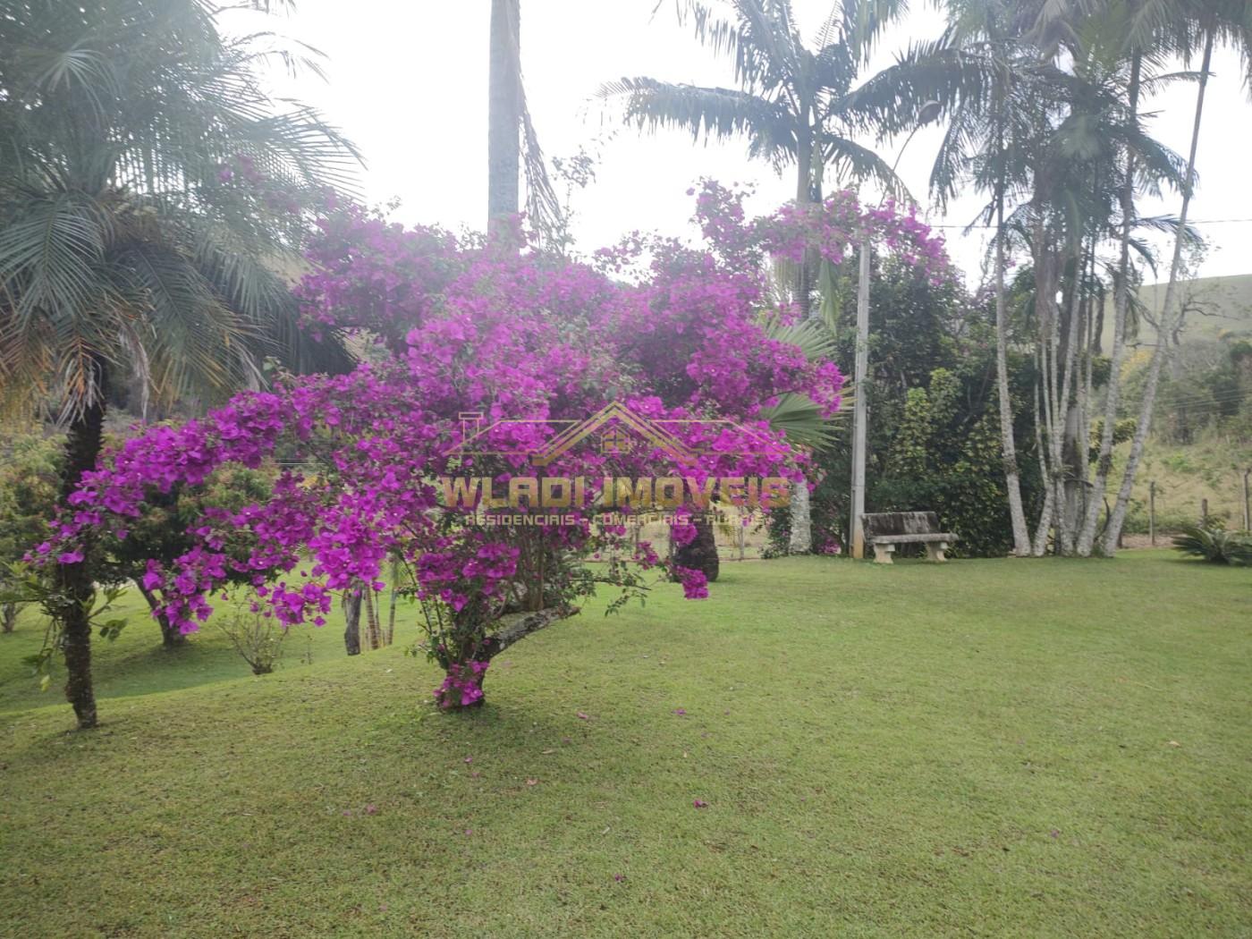 Sítio, 2 hectares - Foto 14