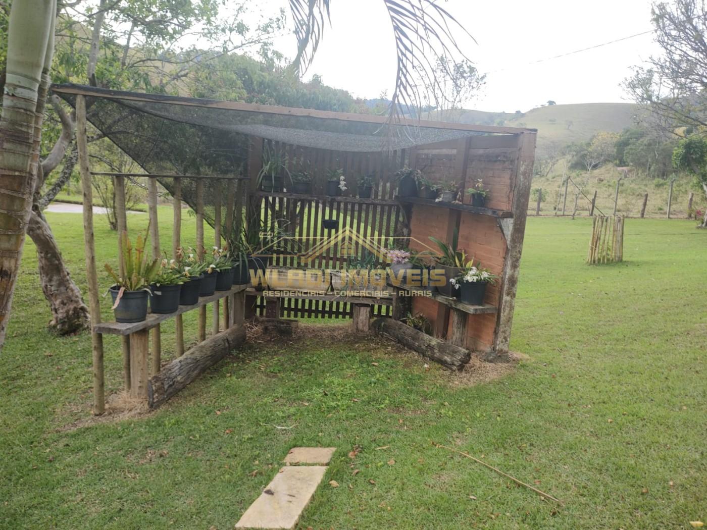 Sítio, 2 hectares - Foto 12