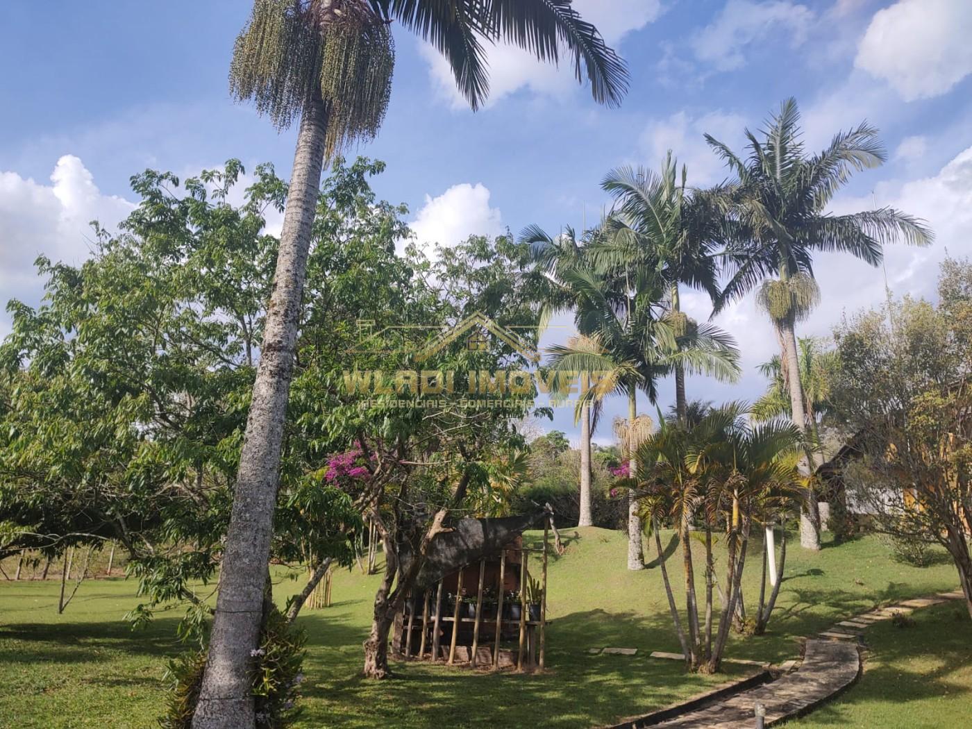 Sítio, 2 hectares - Foto 18