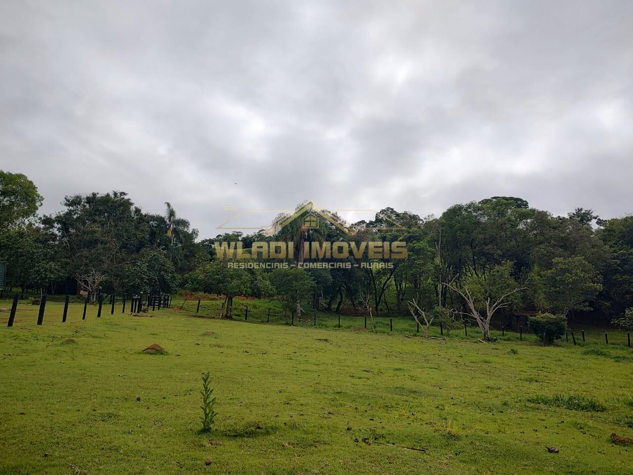 Sítio, 2 hectares - Foto 21