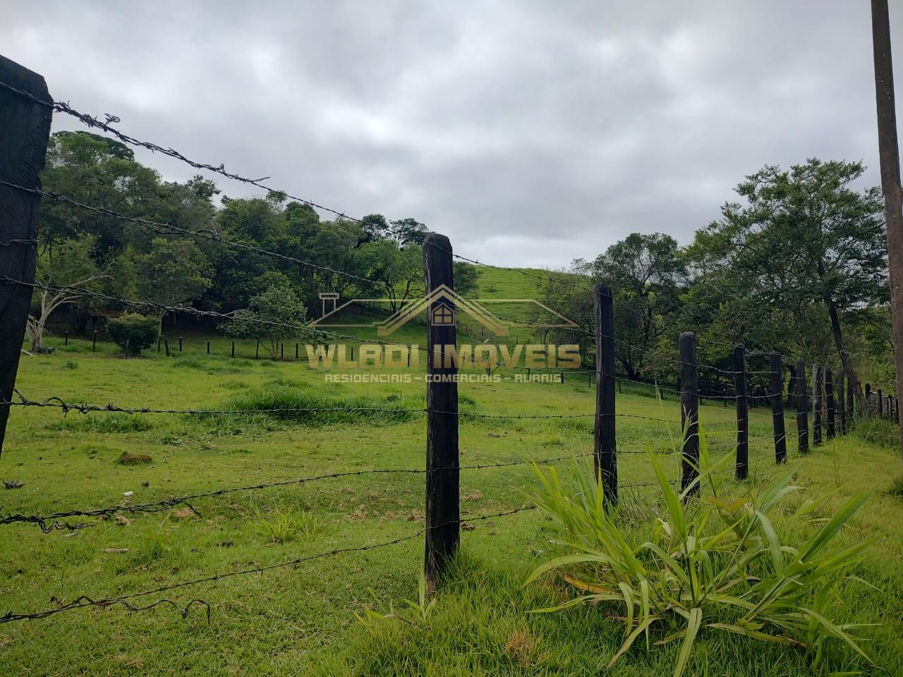 Sítio, 2 hectares - Foto 22