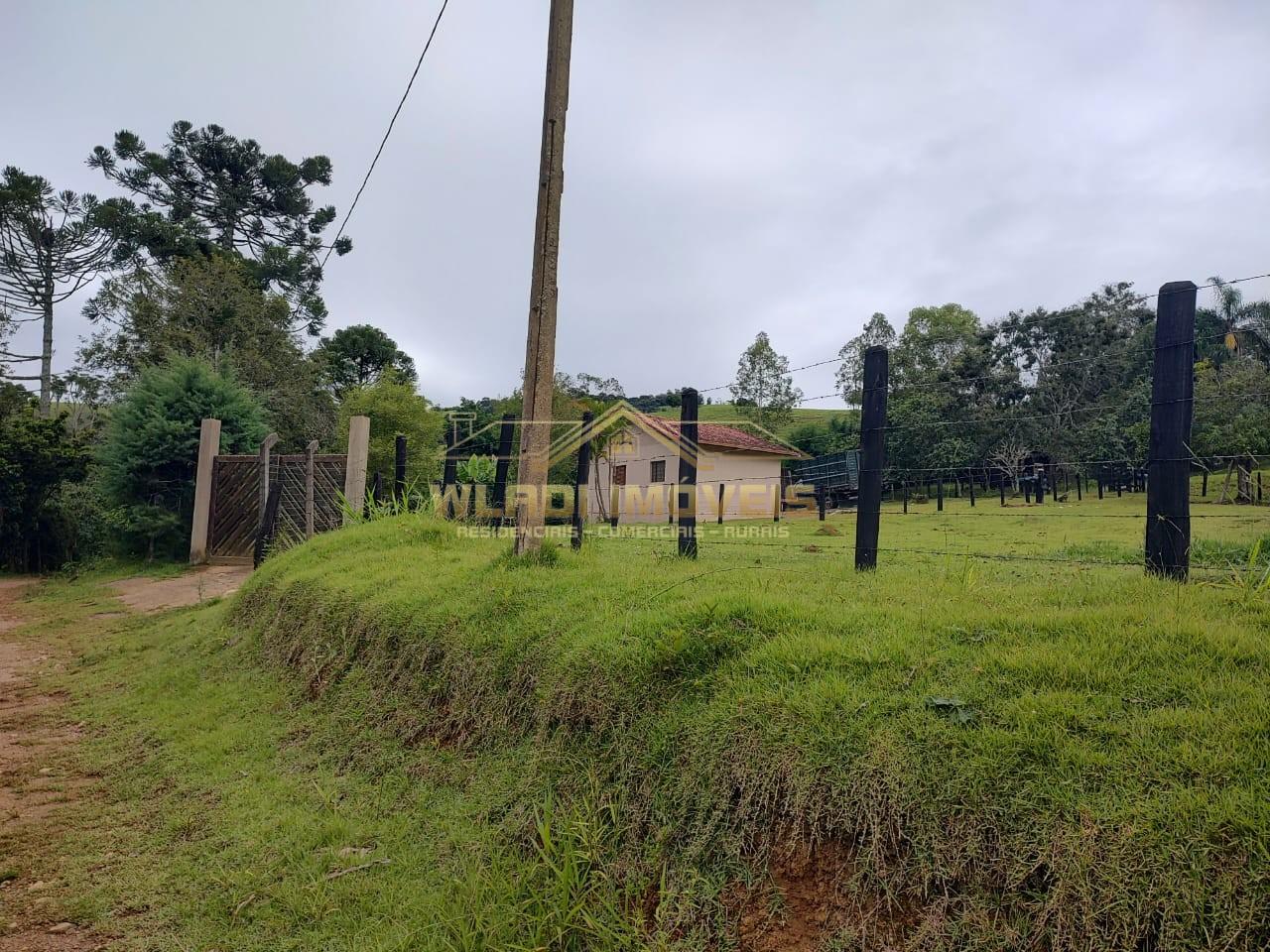 Sítio, 2 hectares - Foto 24