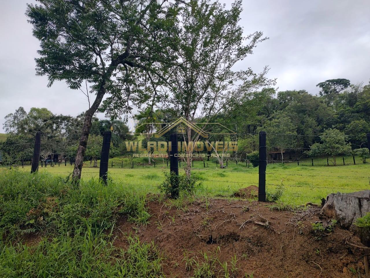 Sítio, 2 hectares - Foto 27