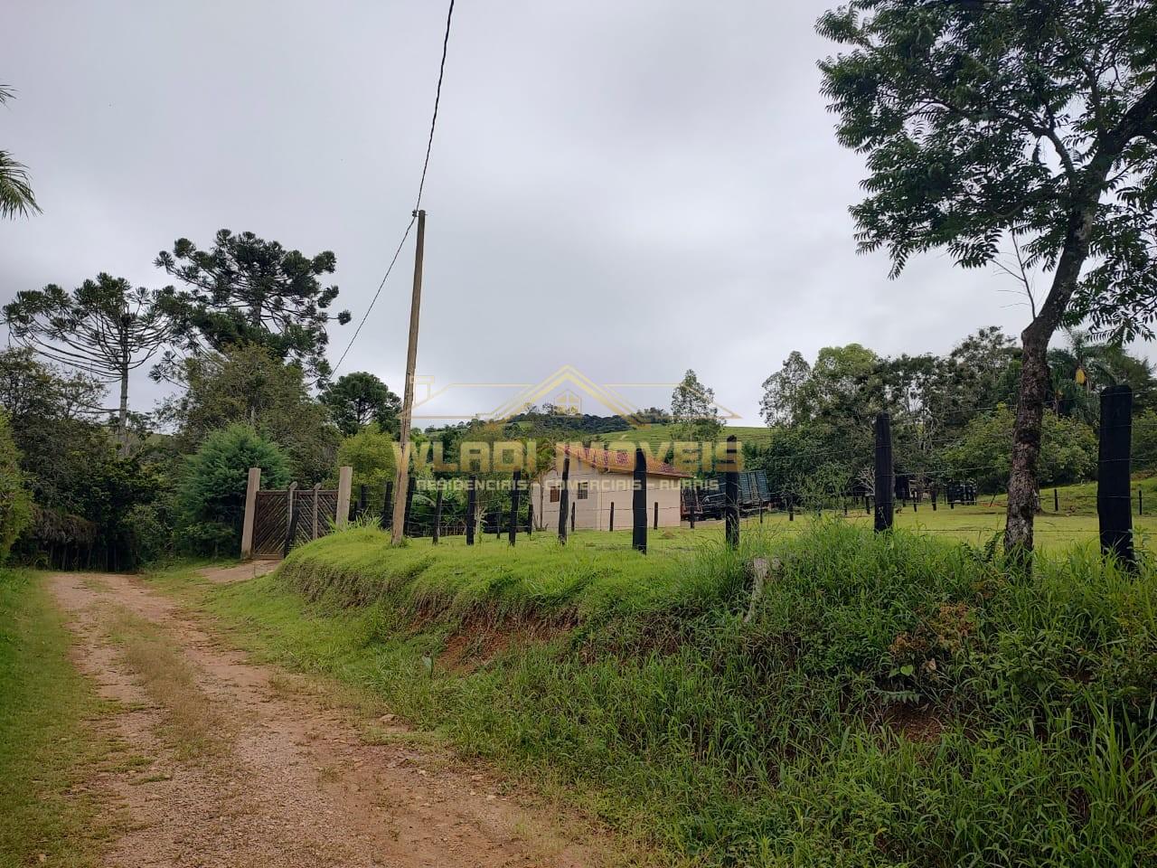 Sítio, 2 hectares - Foto 28