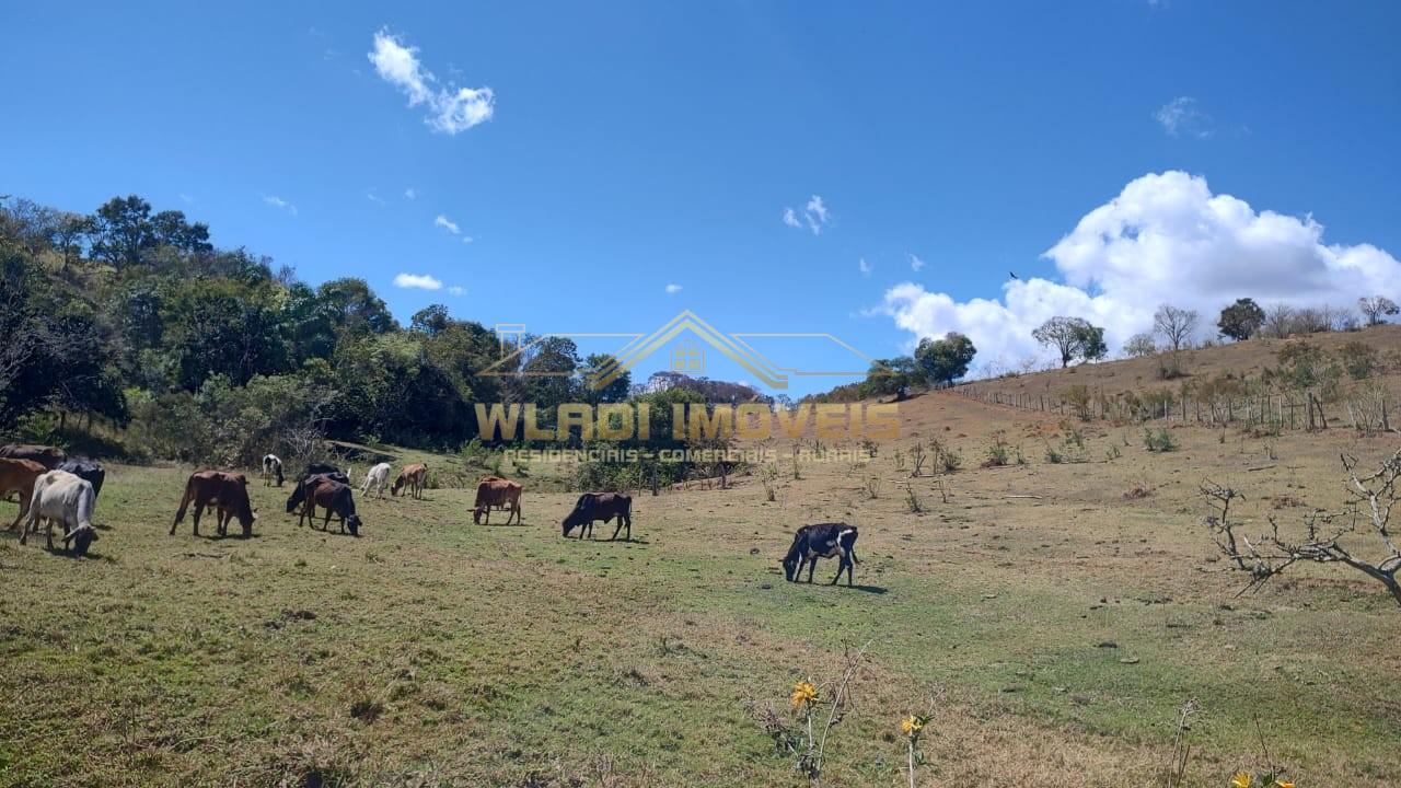 Terreno, 2 hectares - Foto 4