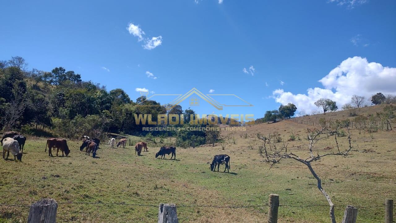 Terreno, 2 hectares - Foto 3