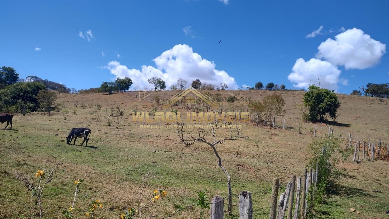 Terreno, 2 hectares - Foto 1