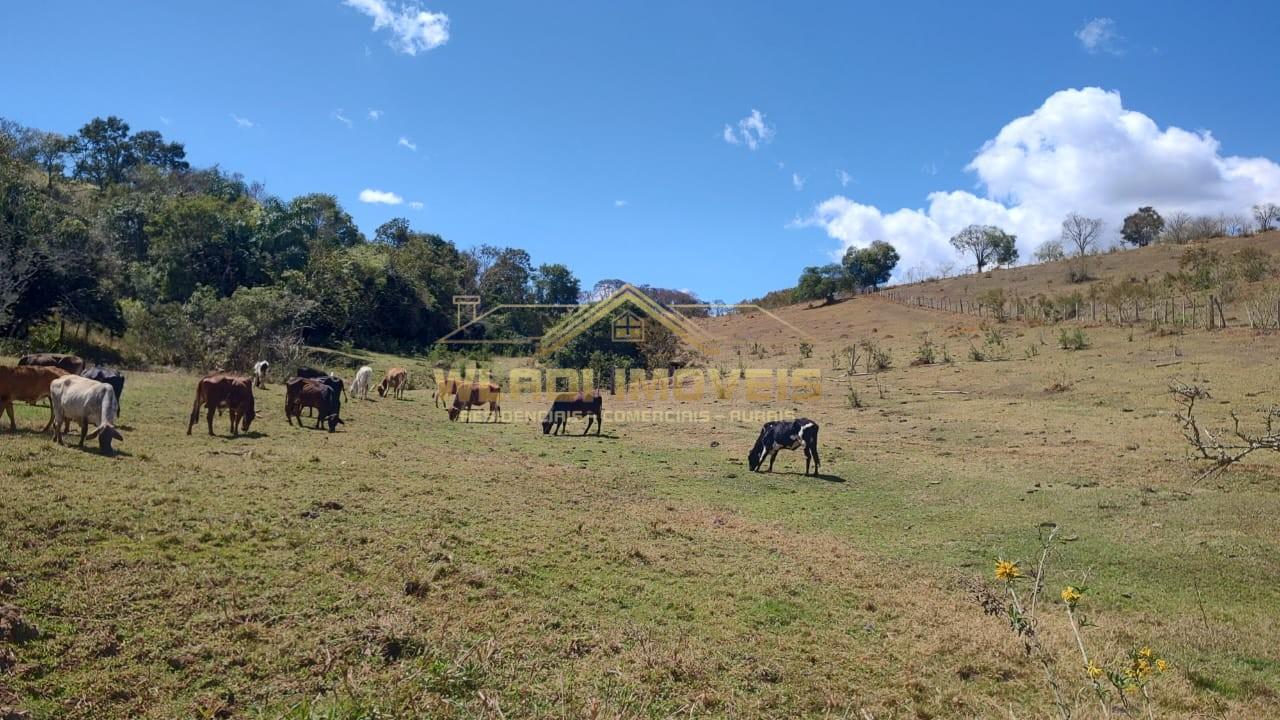 Terreno, 2 hectares - Foto 6