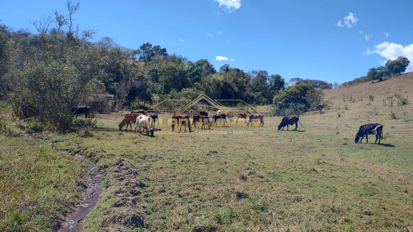 Terreno, 2 hectares - Foto 7