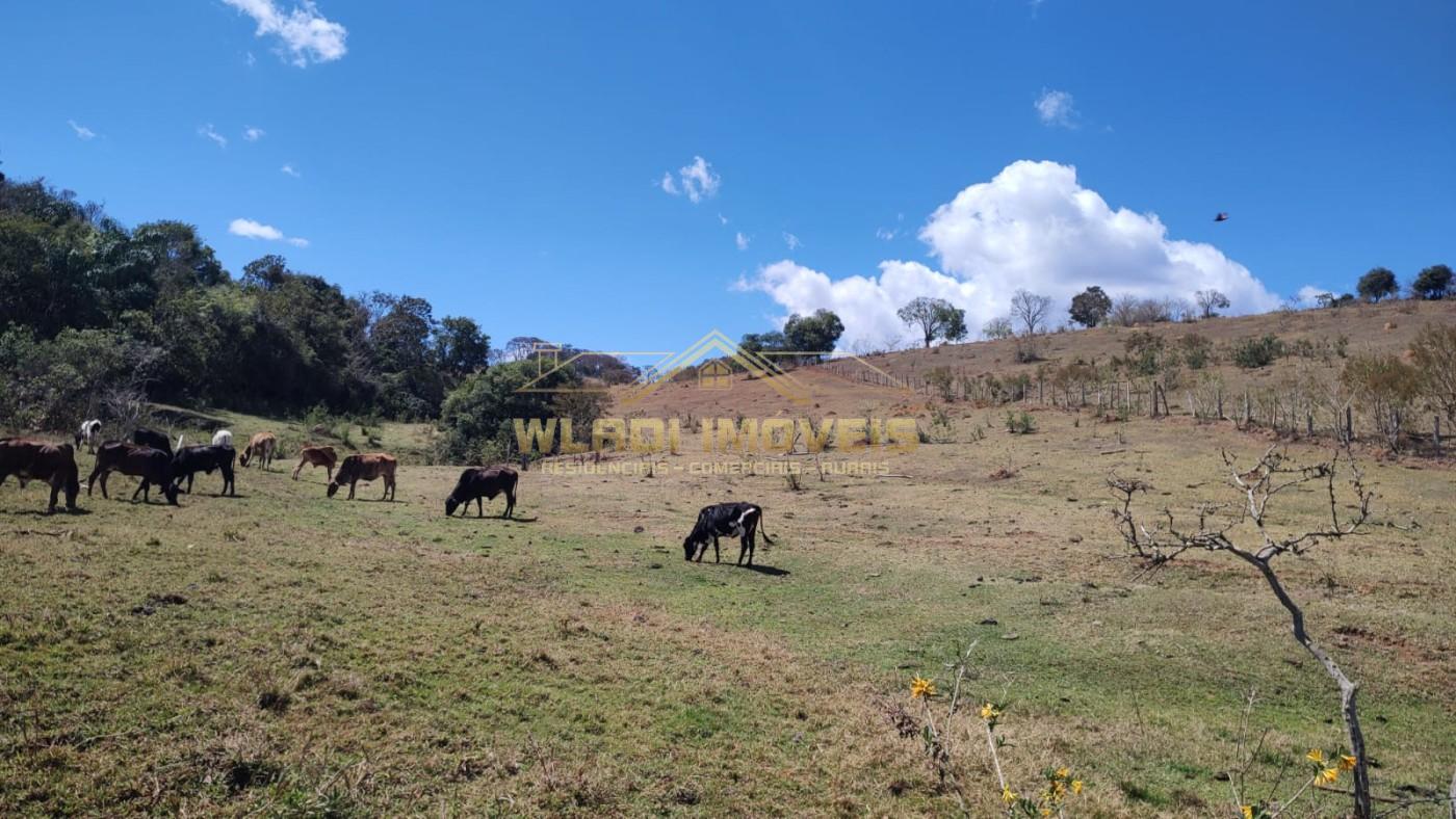 Terreno, 2 hectares - Foto 8