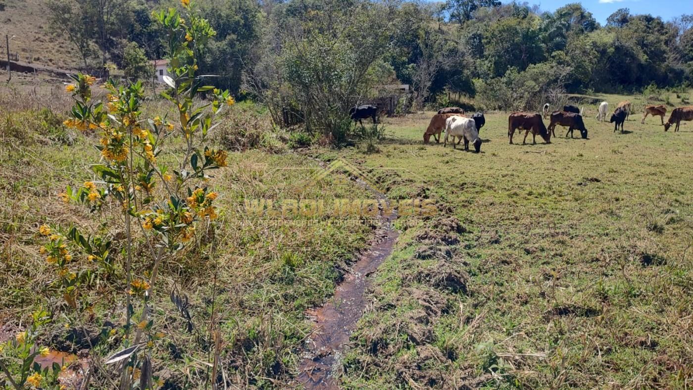 Terreno, 2 hectares - Foto 9