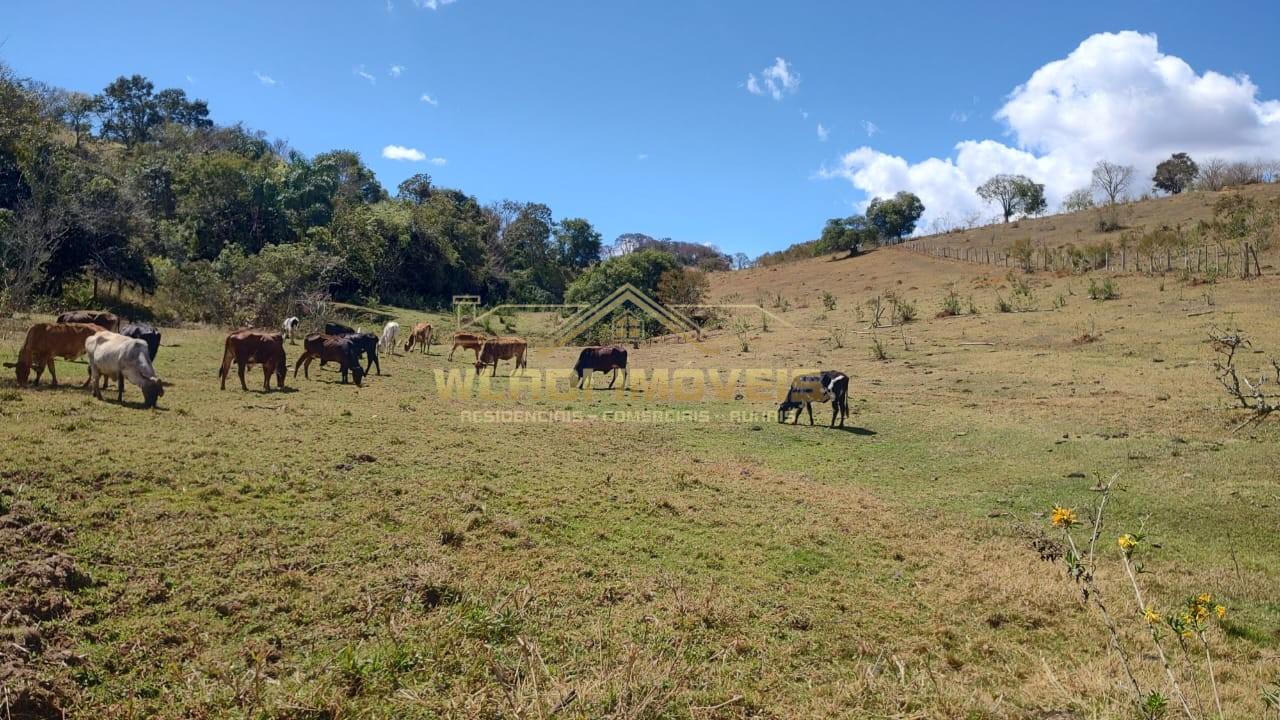 Terreno, 2 hectares - Foto 10