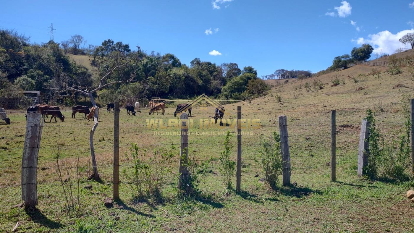 Terreno, 2 hectares - Foto 11