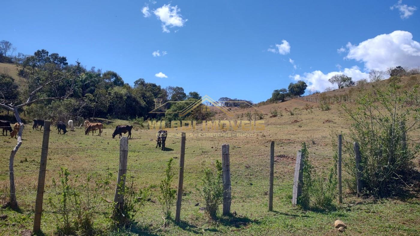 Terreno, 2 hectares - Foto 12