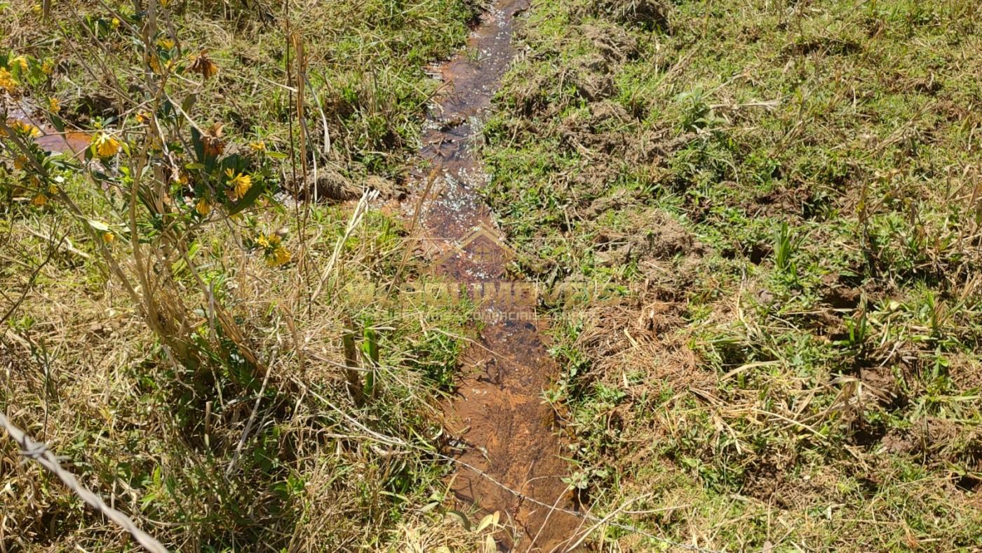 Terreno, 2 hectares - Foto 2