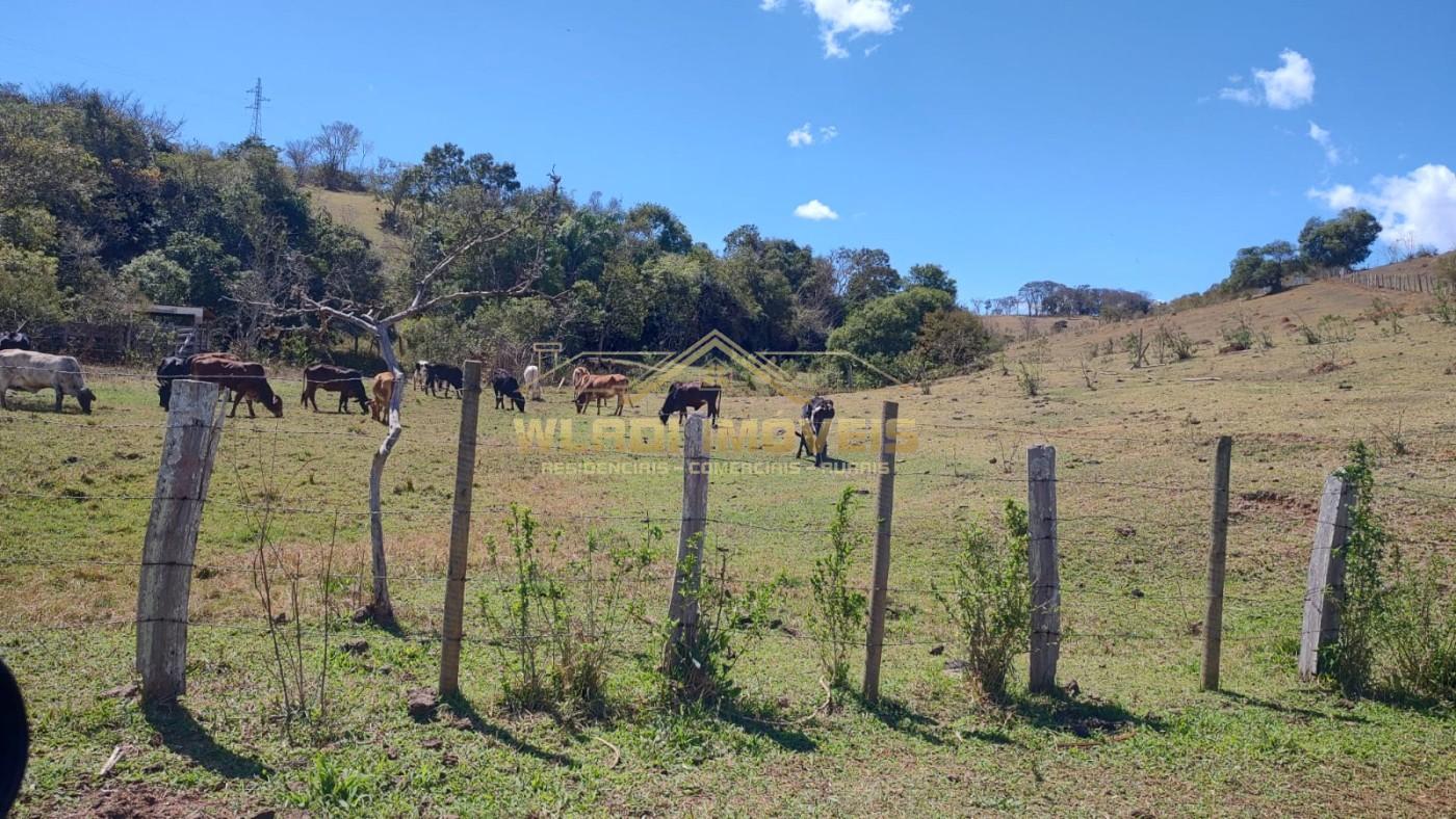 Terreno, 2 hectares - Foto 13