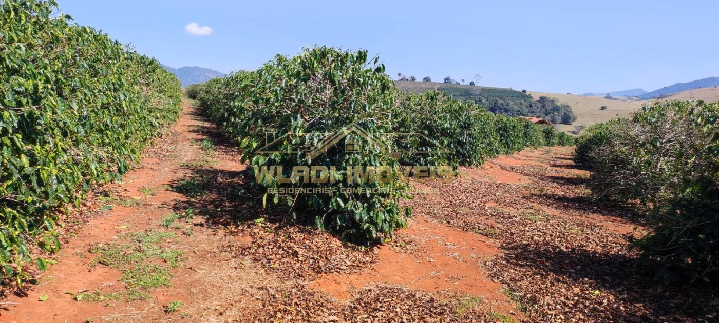 Sítio, 10 m² - Foto 2