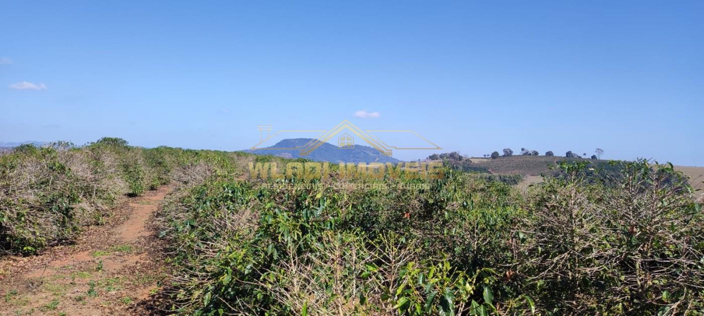 Sítio, 10 m² - Foto 6