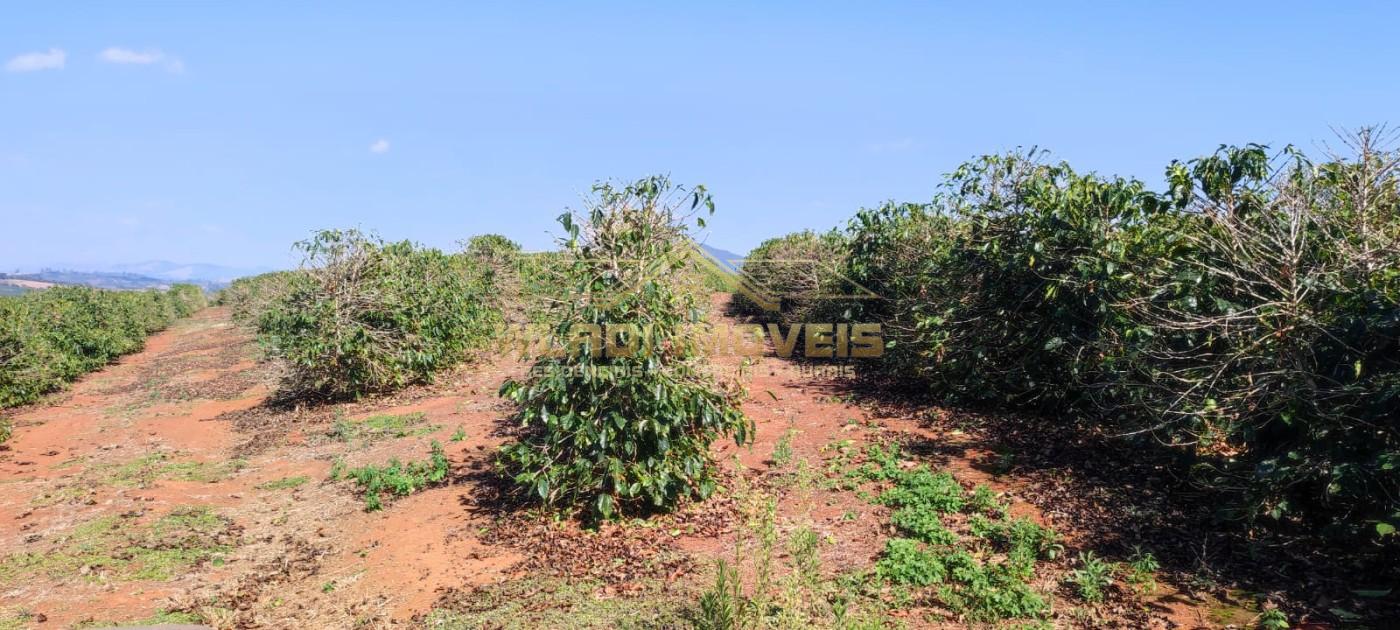 Sítio, 10 m² - Foto 8