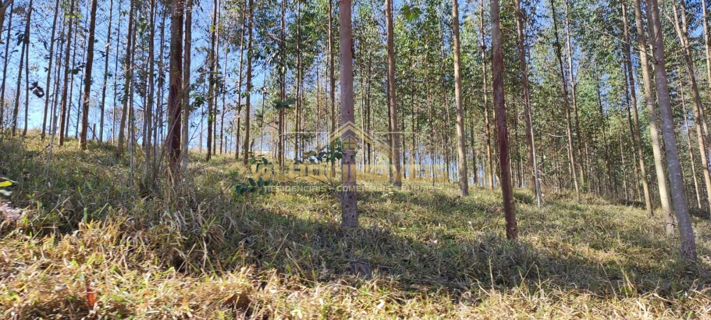 Sítio, 10 m² - Foto 9