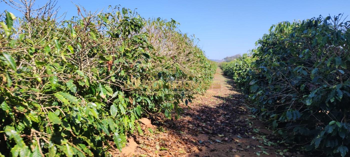 Sítio, 10 m² - Foto 11