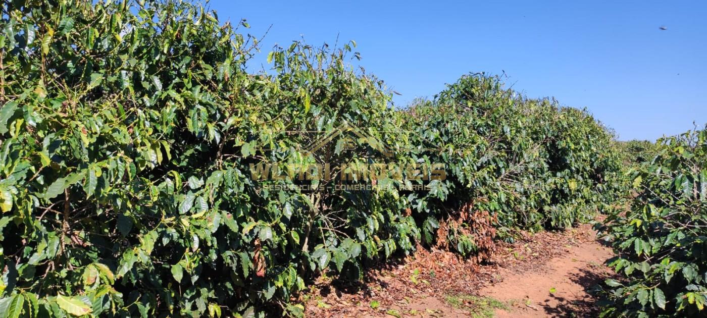 Sítio, 10 m² - Foto 14