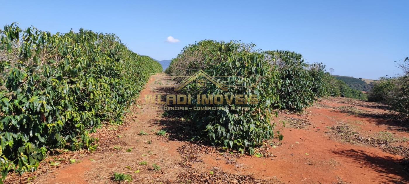 Sítio, 10 m² - Foto 13