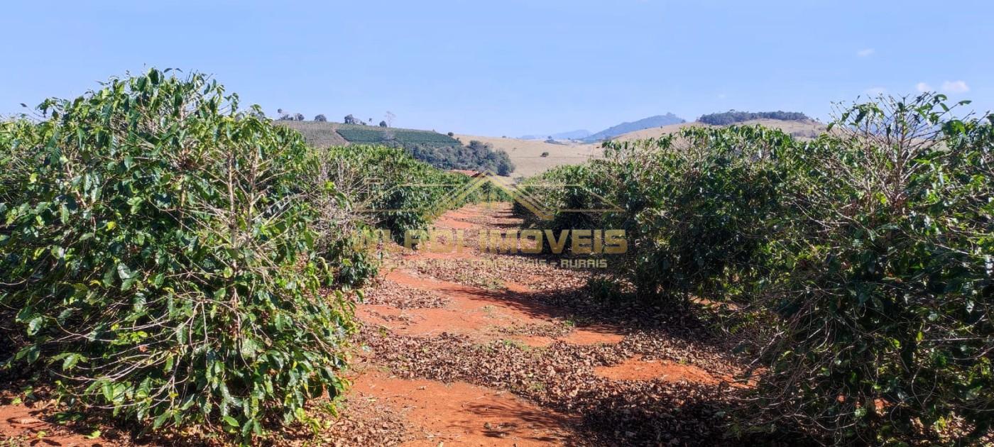 Sítio, 10 m² - Foto 17