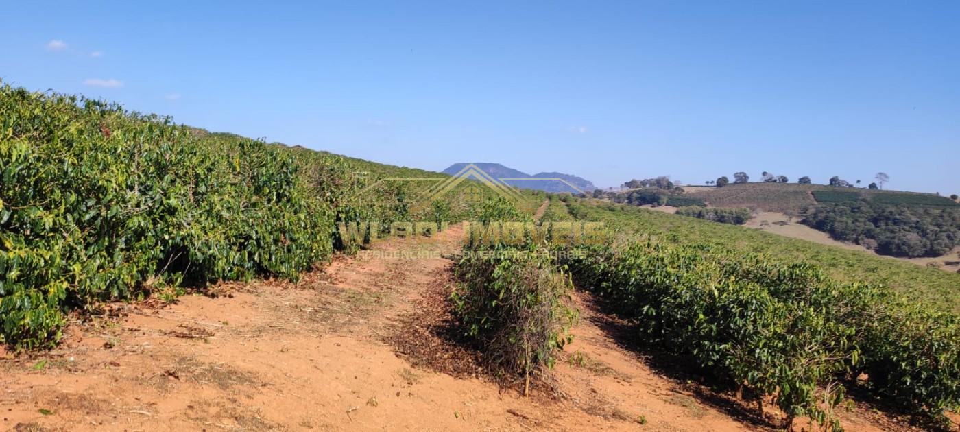 Sítio, 10 m² - Foto 23